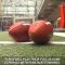 ICYMI: NFL to begin season as scheduled in September