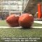 ICYMI: Virtual NFL draft begins Thursday at 8pm ET (4.23.20)