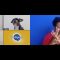 Pedigree hosting virtual dog adoptions