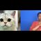 Men who like cats less likely to get date