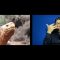 Top 5 stories of the week