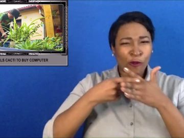 Boy sells cacti to buy computer