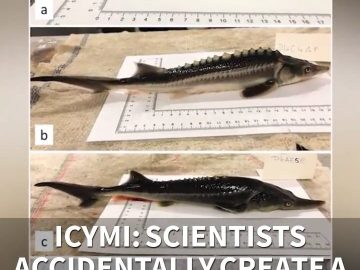 ICYMI: Scientists accidentally create a new fish species (7.22.20)