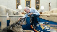 ICYMI: Bidens announce beloved dog Champ passed away (6.20.21)
