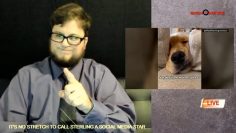 Adorable dog becomes social media star (ASL+Audio)