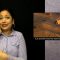 Sign1News Daily Broadcast (10.26.21)