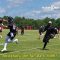 What are the Falcons looking for in rookie mini-camp?