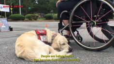 “The Caravan” is coming to your town!